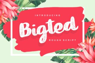 Bigted: A Script Font That Brings Summer Vibes to Your Brand