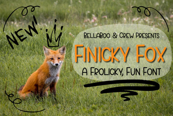 Finicky Fox: The Fun and Functional Sans Serif Font for Digital Marketers