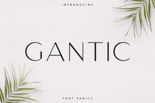 Gantic: A Font for Editorial Elegance and Branding Clarity