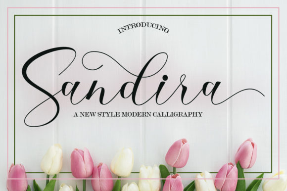 Sandira Script: A Playful Script Font for Modern Branding