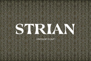 Strian: A Serif Font That Adds Vintage Charm to Editorial Design