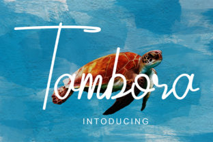 Tambora: The Script Font That Elevates Every Campaign